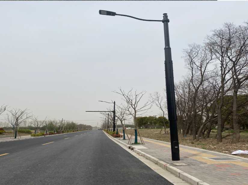 石林彝族自治县上海综合杆 太阳能路灯工程
